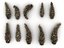 Conifer Cone Mega Pack 105
