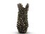 Conifer Cone Mega Pack 105