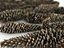 Conifer Cone Mega Pack 105