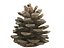 Conifer Cone Mega Pack 105