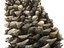 Conifer Cone Mega Pack 105