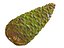 Conifer Cone Mega Pack 105