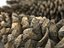 Conifer Cone Mega Pack 105