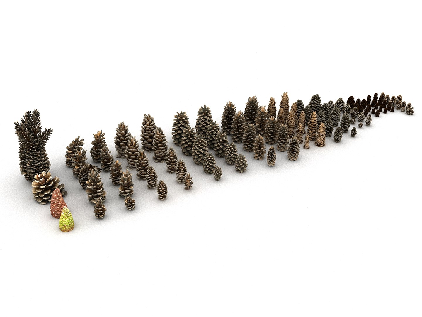 3D mega conifer cone pack model https://p.turbosquid.com/ts-thumb/C3/J7i6rg/Zu7ae1v3/556/jpg/1534776086/1920x1080/fit_q87/ddea587dca8db0ef260884b9ab0b6623f2342eaf/556.jpg