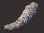 Conifer Cone Mega Pack 105
