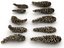 Conifer Cone Mega Pack 105