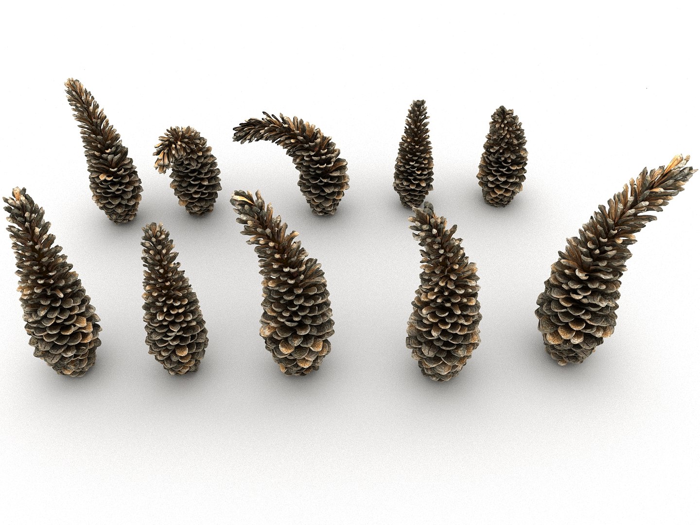 3D mega conifer cone pack model https://p.turbosquid.com/ts-thumb/C3/J7i6rg/iTk33h3Q/3333/jpg/1534776315/1920x1080/fit_q87/c875690a7568cc34bcab238e9e3a8e18d9969f3b/3333.jpg
