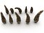 Conifer Cone Mega Pack 105