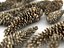 Conifer Cone Mega Pack 105