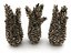 Conifer Cone Mega Pack 105