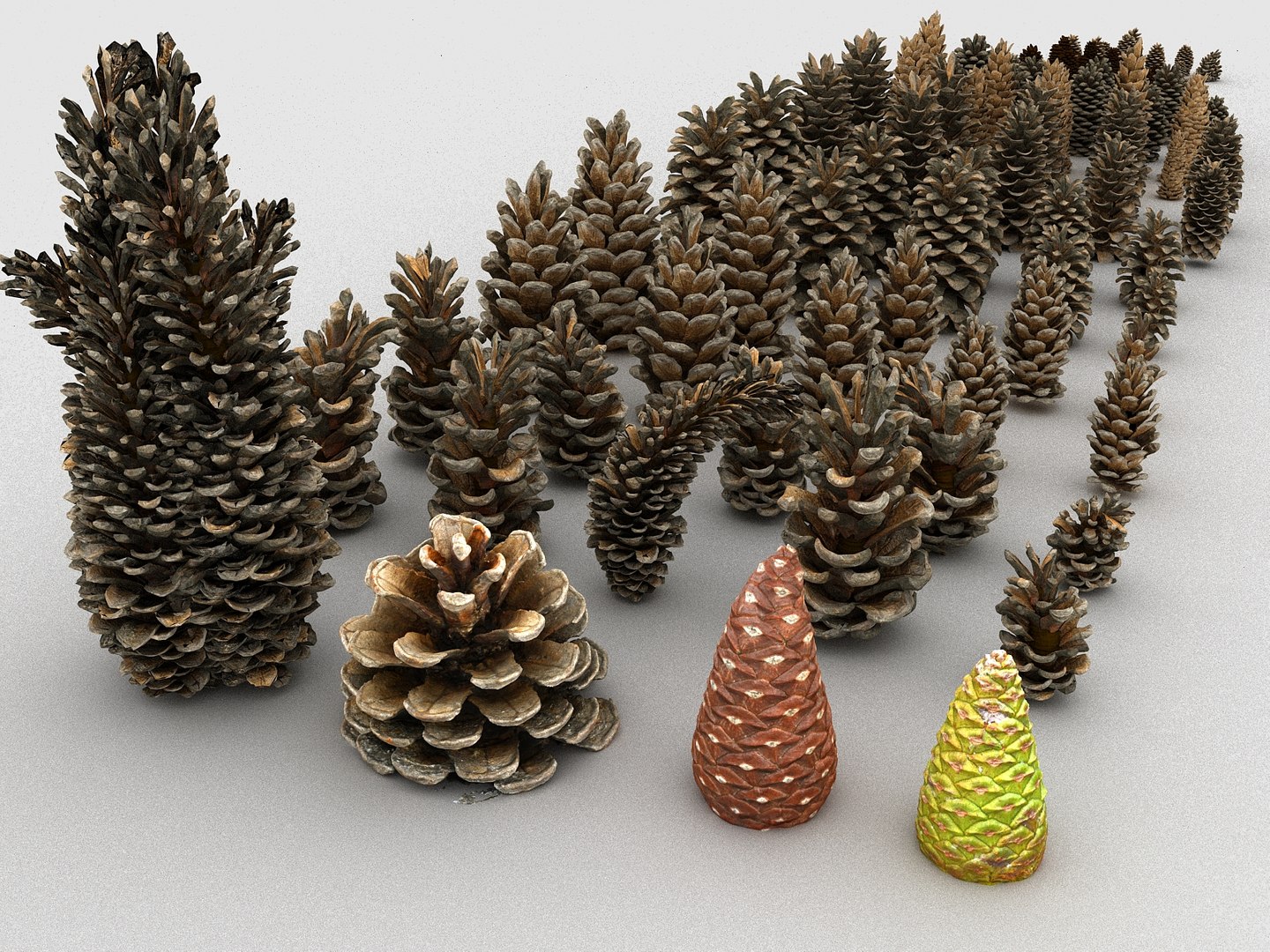 3D mega conifer cone pack model https://p.turbosquid.com/ts-thumb/C3/J7i6rg/qrjUdtC4/77889/jpg/1534776095/1920x1080/fit_q87/ef81d396082c440106f7bbf17925fafaad5b3117/77889.jpg