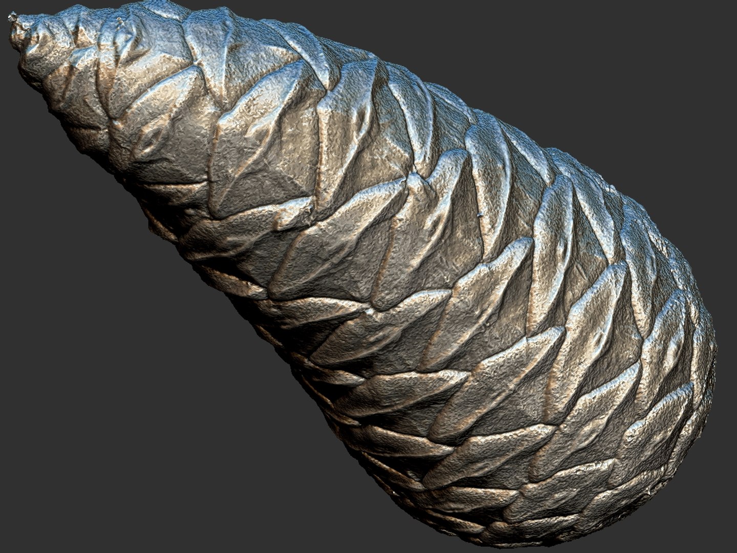 3D mega conifer cone pack model https://p.turbosquid.com/ts-thumb/C3/J7i6rg/weAJLYSS/676767/jpg/1534776259/1920x1080/fit_q87/1352b9fe0dc8d7702387e567e969c32484485652/676767.jpg