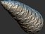 Conifer Cone Mega Pack 105