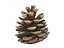 Conifer Cone Mega Pack 105
