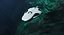 Underwater Robots Collection