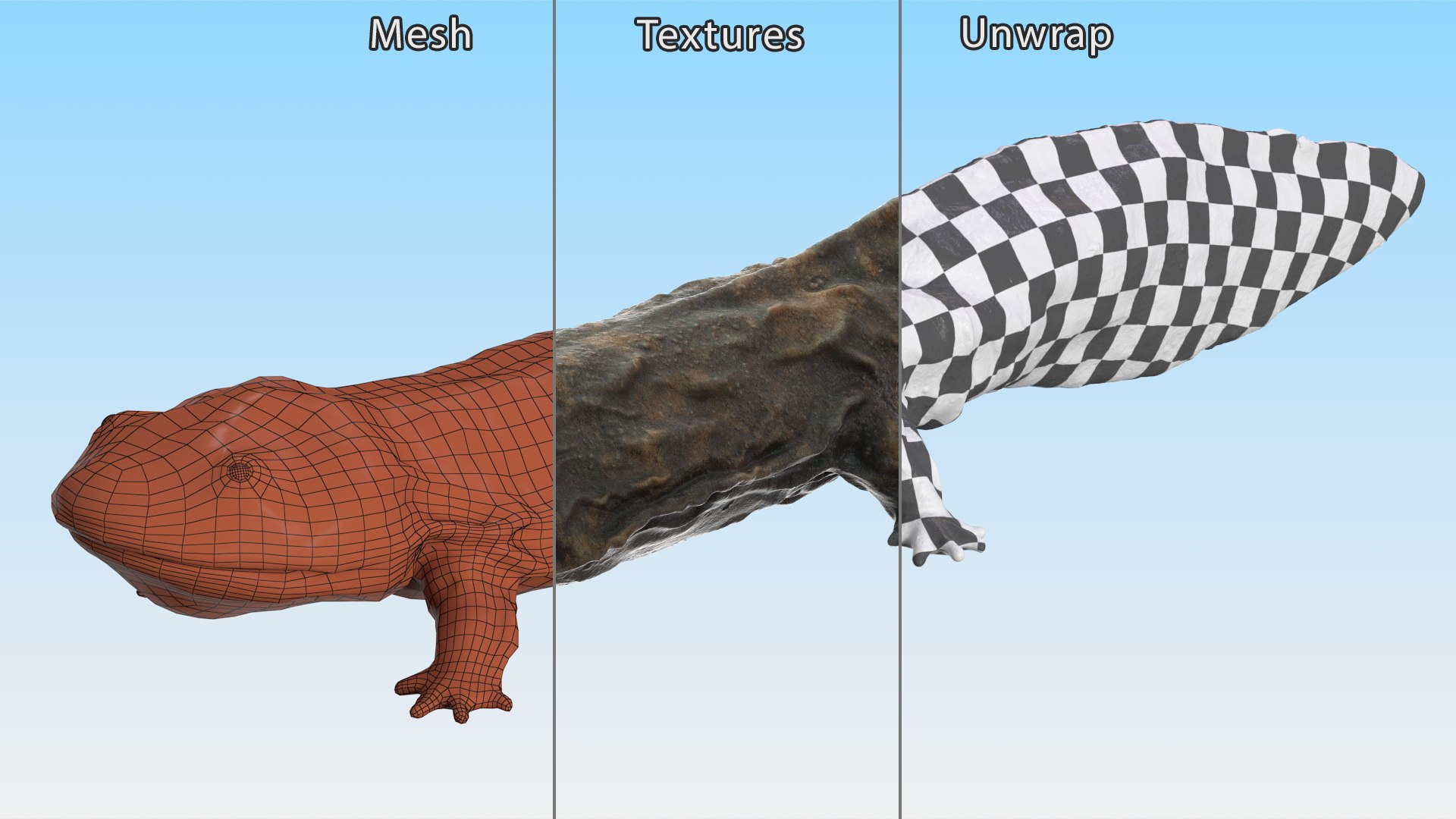 Aquatic Salamander Light Wet Rigged for Maya 3D model https://p.turbosquid.com/ts-thumb/C3/W57y6n/HO/aquaticsalamanderlightwetriggedformaya3dsmodel022/jpg/1721769591/1920x1080/fit_q87/f3443302a3f177f79d1685073e2d198c070bdfe7/aquaticsalamanderlightwetriggedformaya3dsmodel022.jpg