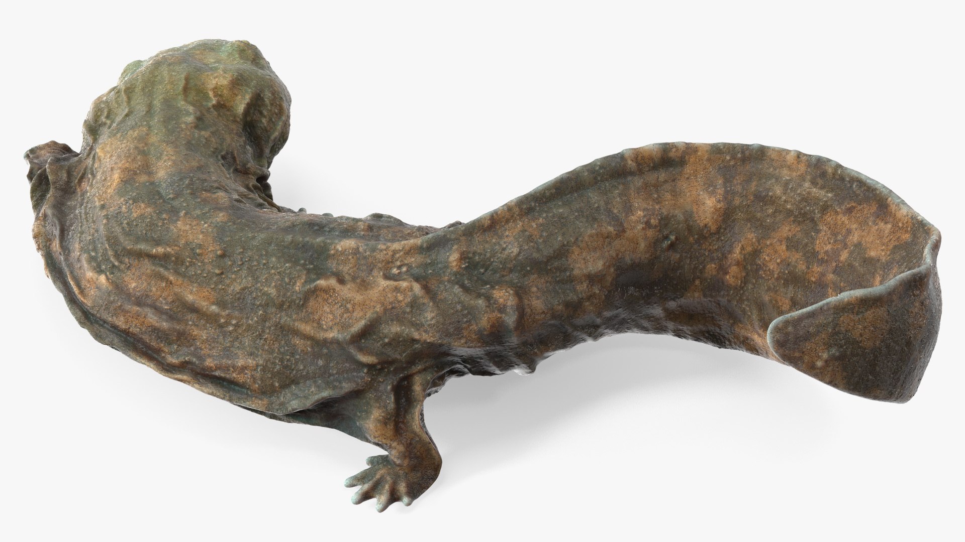 Aquatic Salamander Light Wet Rigged for Maya 3D model https://p.turbosquid.com/ts-thumb/C3/W57y6n/IU/aquaticsalamanderlightwetriggedformaya3dsmodel015/jpg/1721769561/1920x1080/fit_q87/d35a68222b73a83bdd7e1c898d2d288a0691489b/aquaticsalamanderlightwetriggedformaya3dsmodel015.jpg