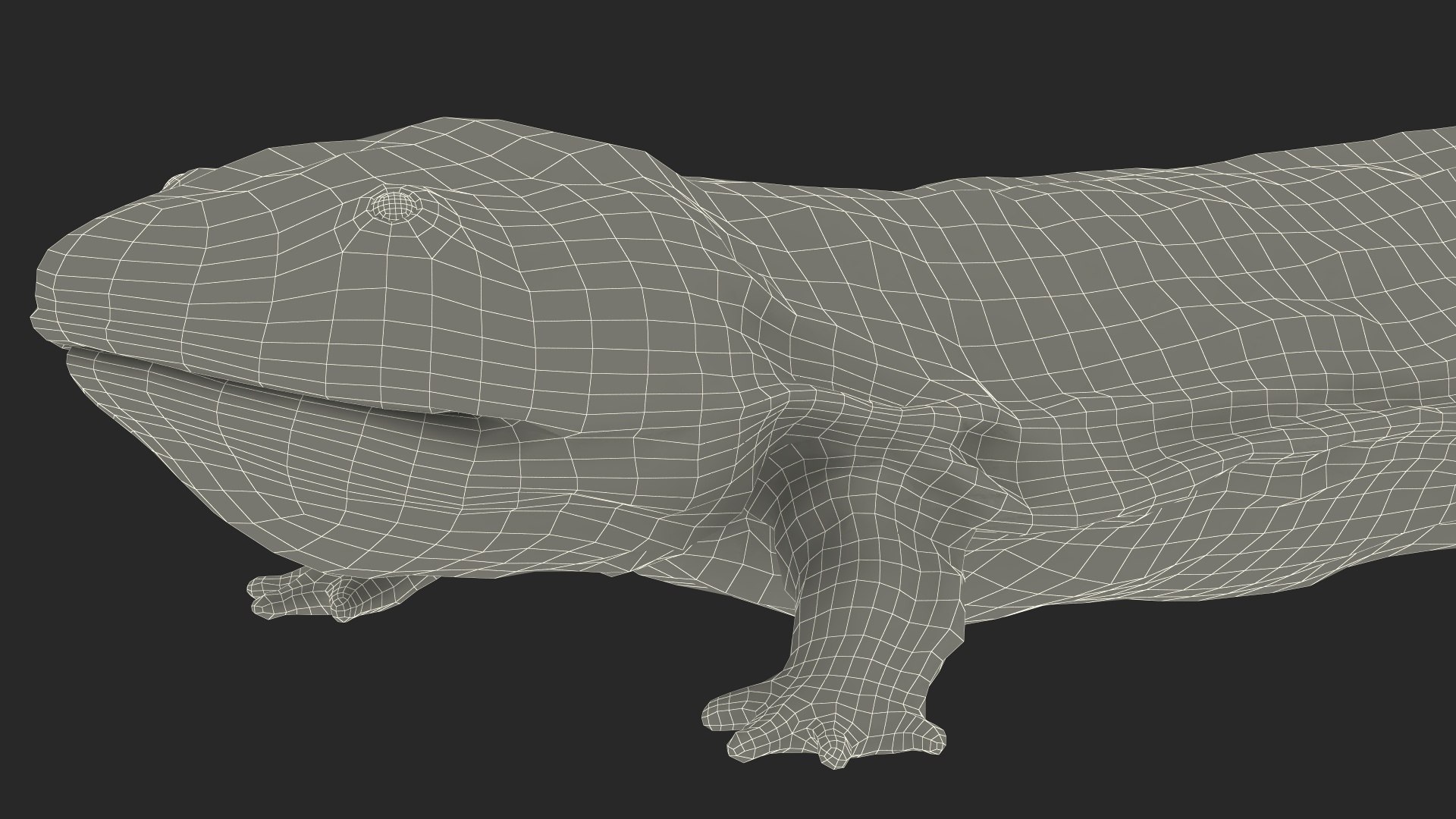 Aquatic Salamander Light Wet Rigged for Maya 3D model https://p.turbosquid.com/ts-thumb/C3/W57y6n/Jk/aquaticsalamanderlightwetriggedformaya3dsmodel031/jpg/1721769641/1920x1080/fit_q87/72d30383bbe4044db7c08f25a3d78f1dc7157019/aquaticsalamanderlightwetriggedformaya3dsmodel031.jpg