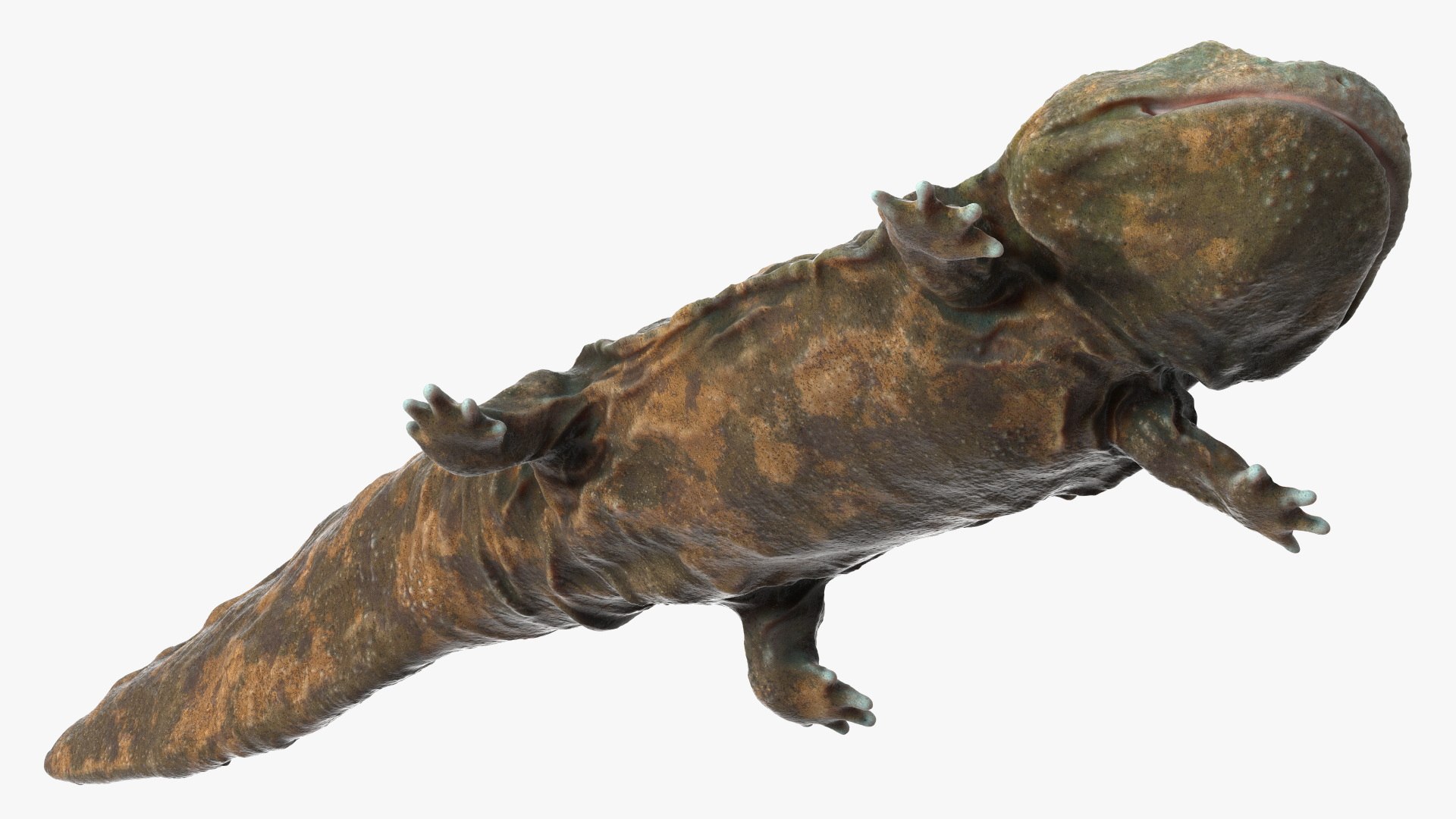Aquatic Salamander Light Wet Rigged for Maya 3D model https://p.turbosquid.com/ts-thumb/C3/W57y6n/LC/aquaticsalamanderlightwetriggedformaya3dsmodel020/jpg/1721769581/1920x1080/fit_q87/2ca674273e7b8babc0d7506a9dc4775aa7bb826d/aquaticsalamanderlightwetriggedformaya3dsmodel020.jpg