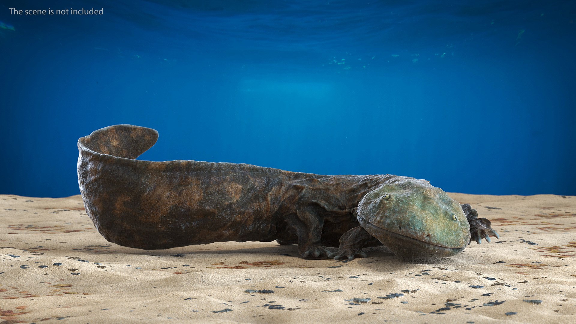Aquatic Salamander Light Wet Rigged for Maya 3D model https://p.turbosquid.com/ts-thumb/C3/W57y6n/R6/aquaticsalamanderlightwetriggedformaya3dsmodel007/jpg/1721769526/1920x1080/fit_q87/55f6614472a3492b1b9b2079d9e021f67725244a/aquaticsalamanderlightwetriggedformaya3dsmodel007.jpg