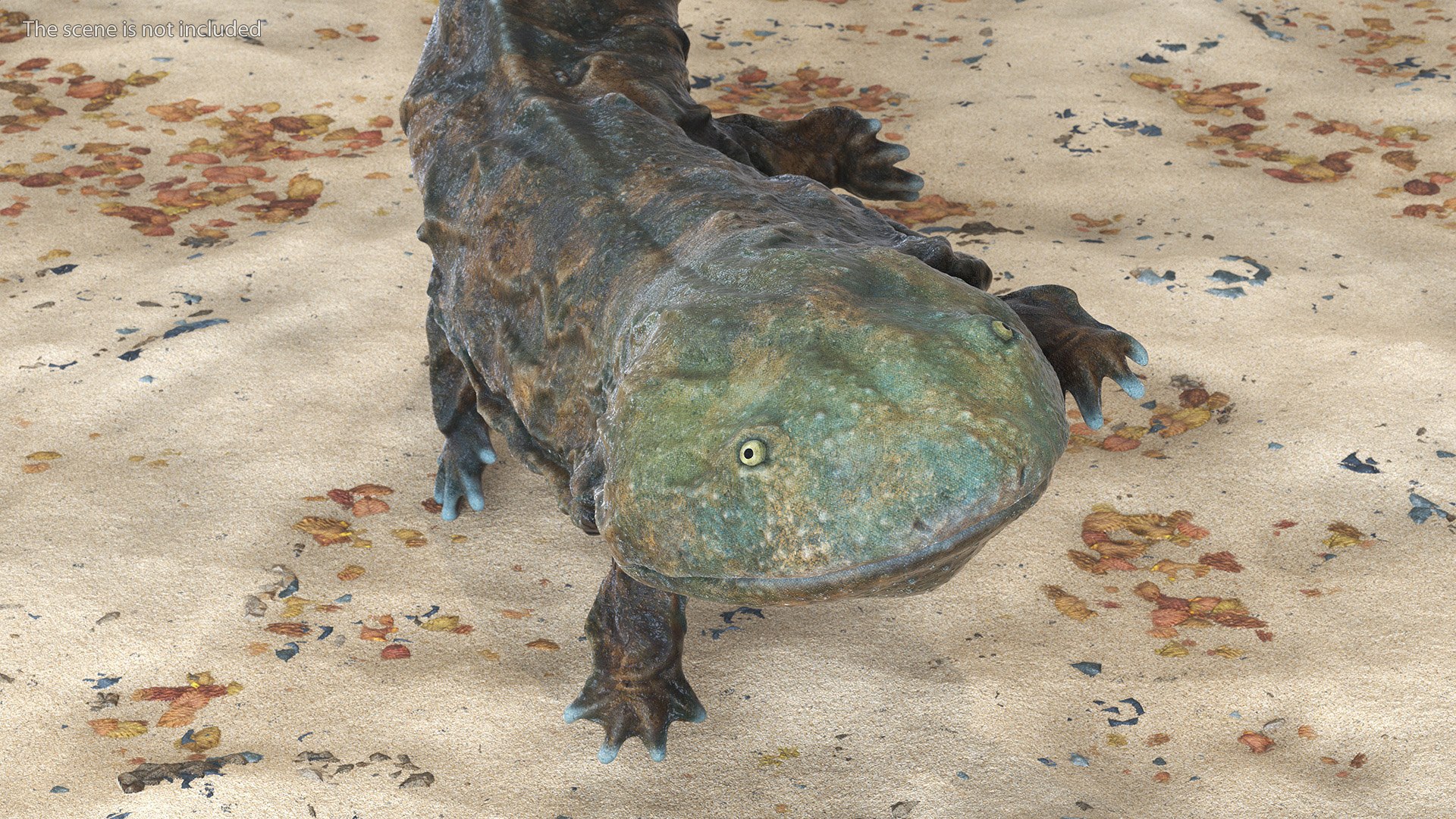 Aquatic Salamander Light Wet Rigged for Maya 3D model https://p.turbosquid.com/ts-thumb/C3/W57y6n/gT/aquaticsalamanderlightwetriggedformaya3dsmodel011/jpg/1721769544/1920x1080/fit_q87/ecbe363b1ba5146969aa6355be00833c0df514ef/aquaticsalamanderlightwetriggedformaya3dsmodel011.jpg