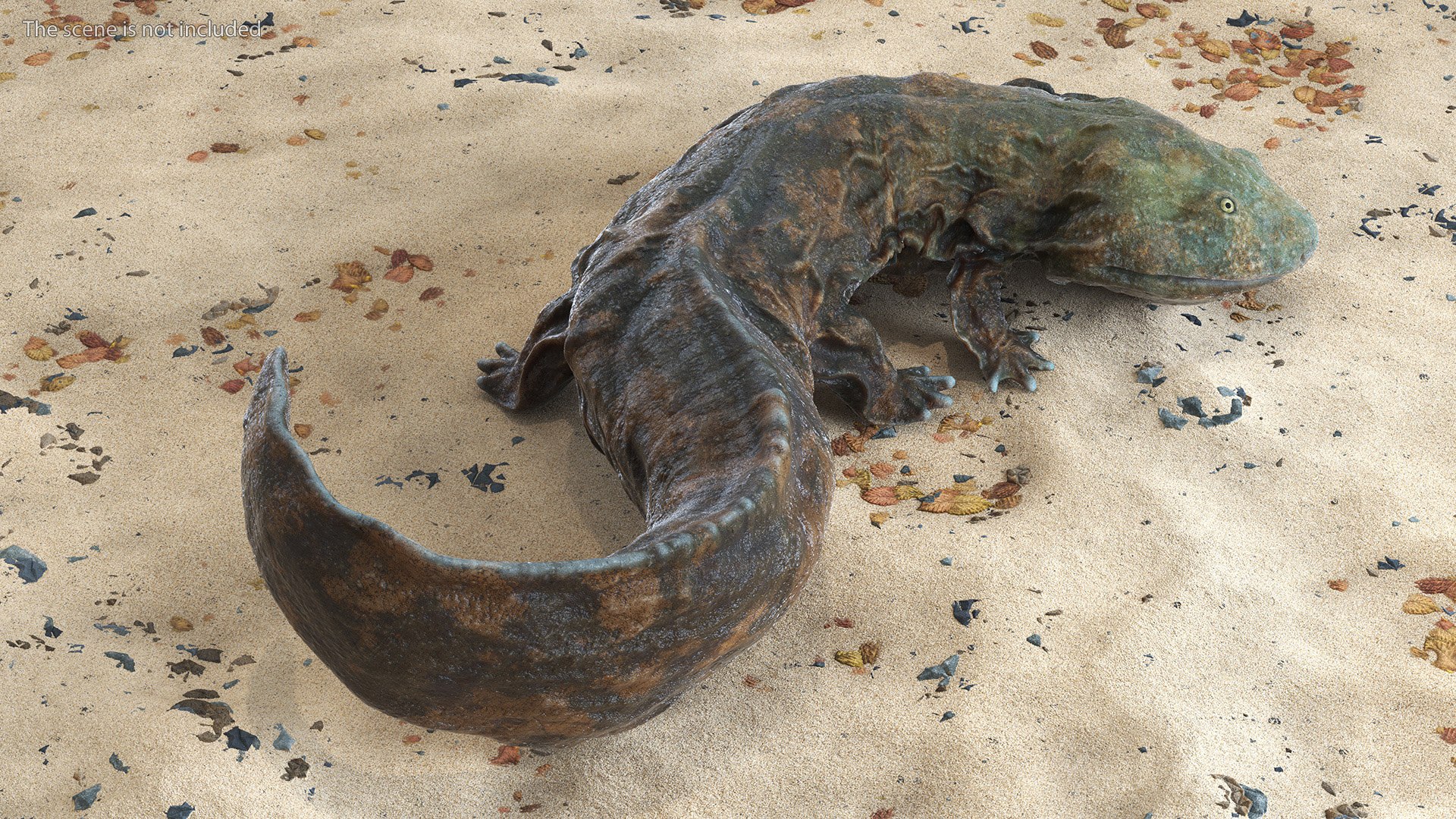 Aquatic Salamander Light Wet Rigged for Maya 3D model https://p.turbosquid.com/ts-thumb/C3/W57y6n/kx/aquaticsalamanderlightwetriggedformaya3dsmodel010/jpg/1721769539/1920x1080/fit_q87/37518c1edd4faedba802757c0340db78c424b5e7/aquaticsalamanderlightwetriggedformaya3dsmodel010.jpg