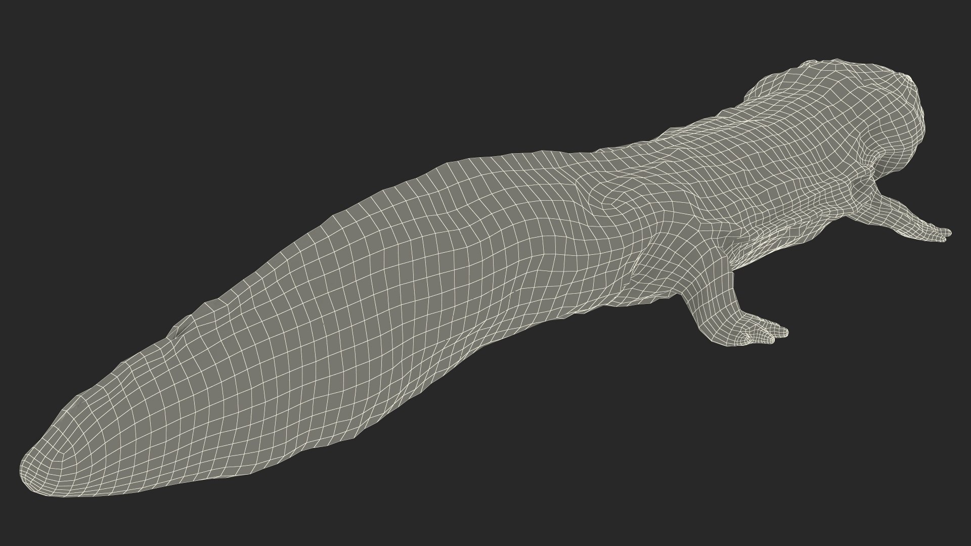 Aquatic Salamander Light Wet Rigged for Maya 3D model https://p.turbosquid.com/ts-thumb/C3/W57y6n/m6/aquaticsalamanderlightwetriggedformaya3dsmodel029/jpg/1721769630/1920x1080/fit_q87/0b6b474674dc4a7d4d5bbbcf677b522269b533e0/aquaticsalamanderlightwetriggedformaya3dsmodel029.jpg