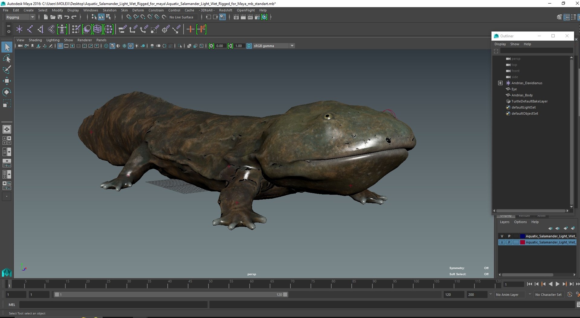Aquatic Salamander Light Wet Rigged for Maya 3D model https://p.turbosquid.com/ts-thumb/C3/W57y6n/wl/aquaticsalamanderlightwetriggedformaya3dsmodel039/jpg/1721769659/1920x1080/fit_q87/b1591b340c07852f480a2e75134e79129d4aa257/aquaticsalamanderlightwetriggedformaya3dsmodel039.jpg