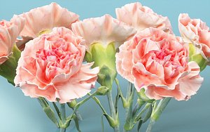 decoration environment 3D model