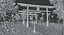 Japanese Torii Road