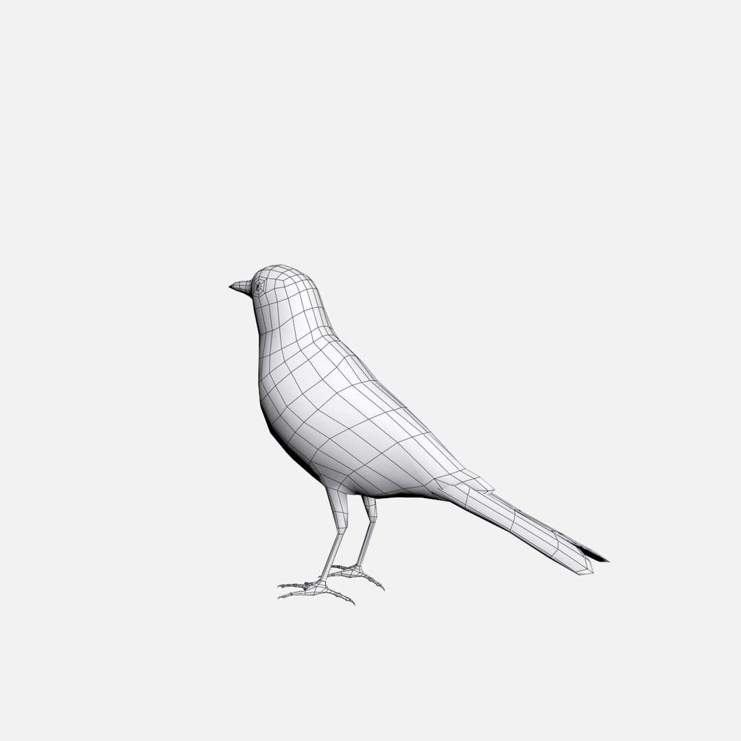 Bird 3d Max