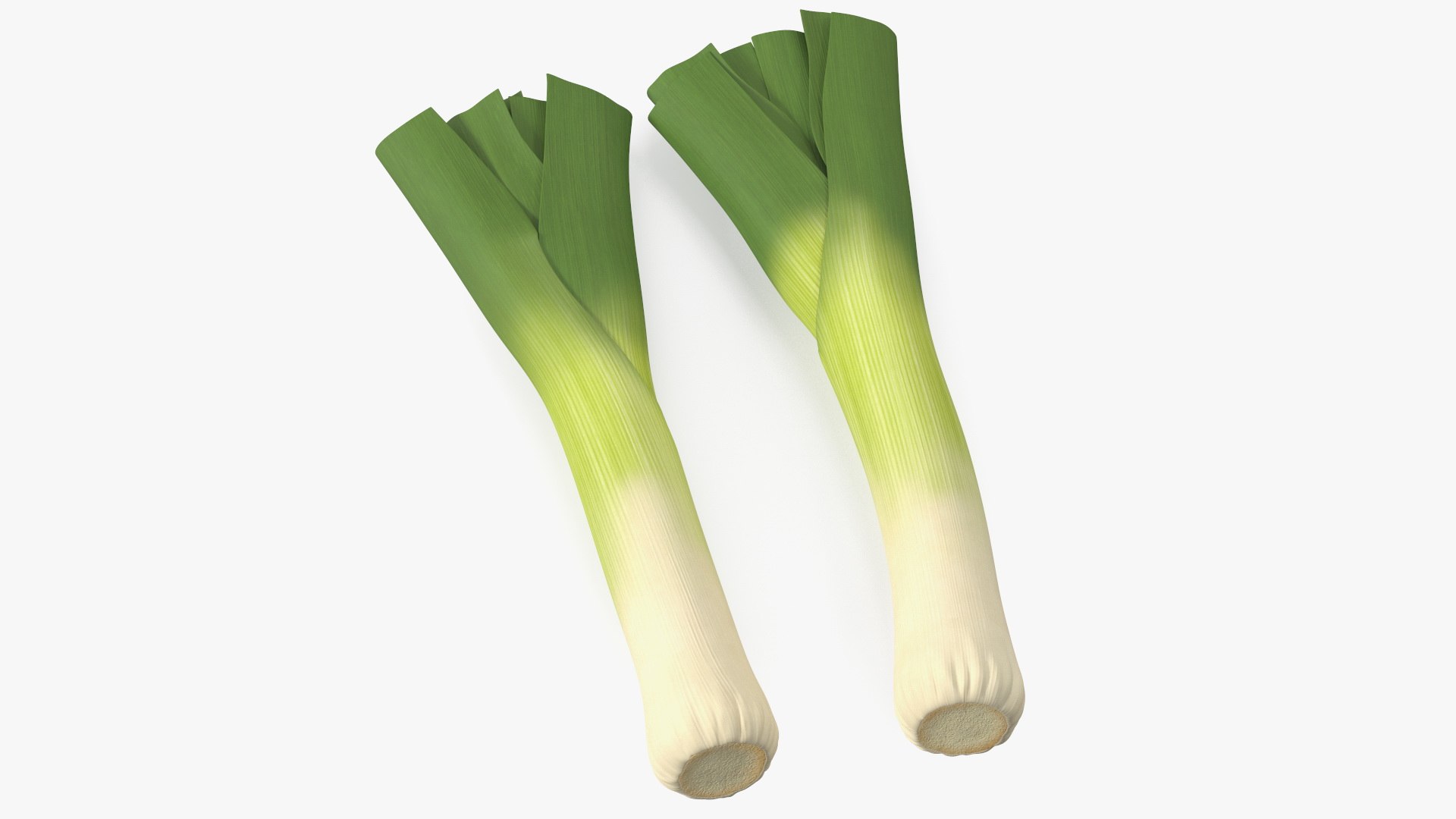 Cleaned and Cuted Leeks 3D model preview