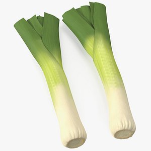 Cleaned and Cuted Leeks 3D