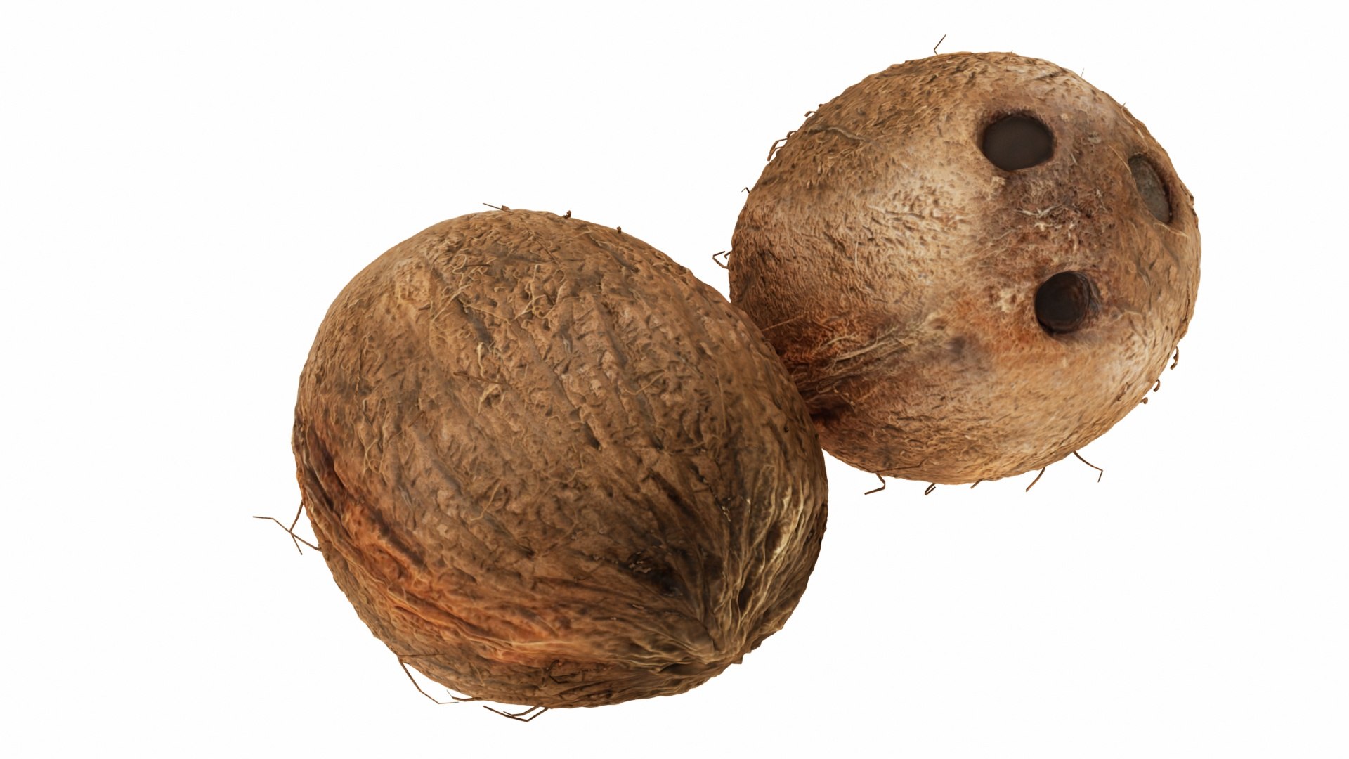 Tropical Fruits model https://p.turbosquid.com/ts-thumb/C3/n7SQZO/0r/0coconut1/jpg/1770242397/1920x1080/fit_q87/ab97bbc1a986744199d6b909b363c806506250b2/0coconut1.jpg