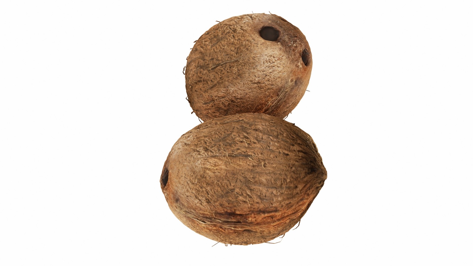 Tropical Fruits model https://p.turbosquid.com/ts-thumb/C3/n7SQZO/Hk/0coconut3/jpg/1770242397/1920x1080/fit_q87/2114d5e7723ec3a4210d5c4da39e9187c7f3a030/0coconut3.jpg