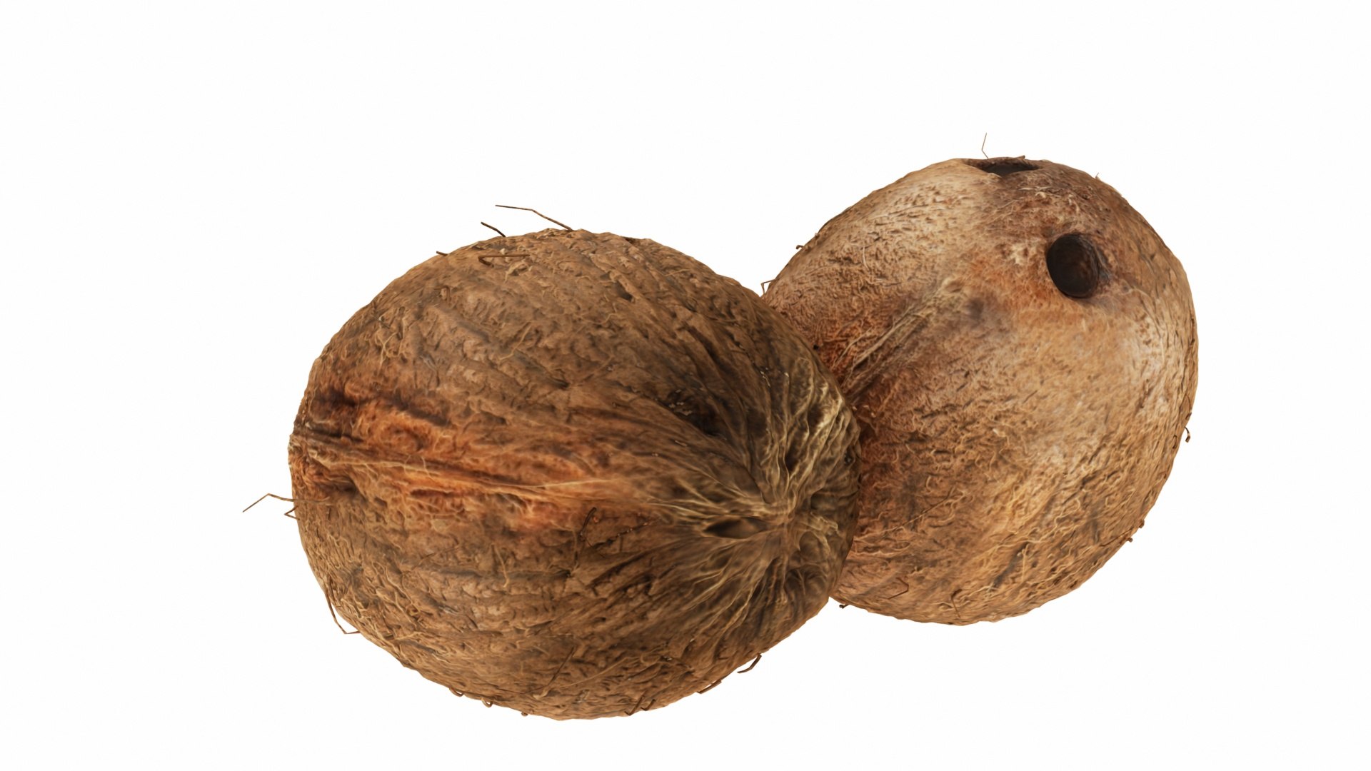 Tropical Fruits model https://p.turbosquid.com/ts-thumb/C3/n7SQZO/JW/0coconut4/jpg/1770242398/1920x1080/fit_q87/3d6fde9c164540be3556c2709066e7ef83a8ec96/0coconut4.jpg