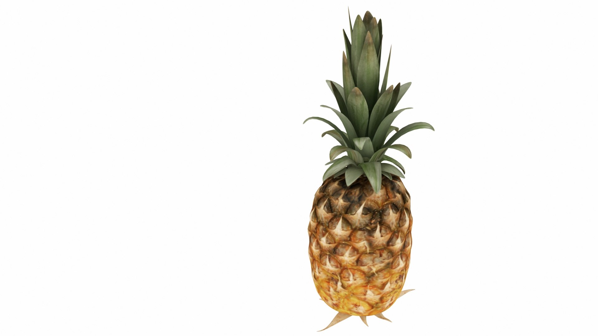 Tropical Fruits model https://p.turbosquid.com/ts-thumb/C3/n7SQZO/Nd/0pineapple3/jpg/1770242407/1920x1080/fit_q87/1d08b75bb94de119f60f4ab44284f9cc9cdee6a7/0pineapple3.jpg