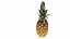 Frutas tropicales