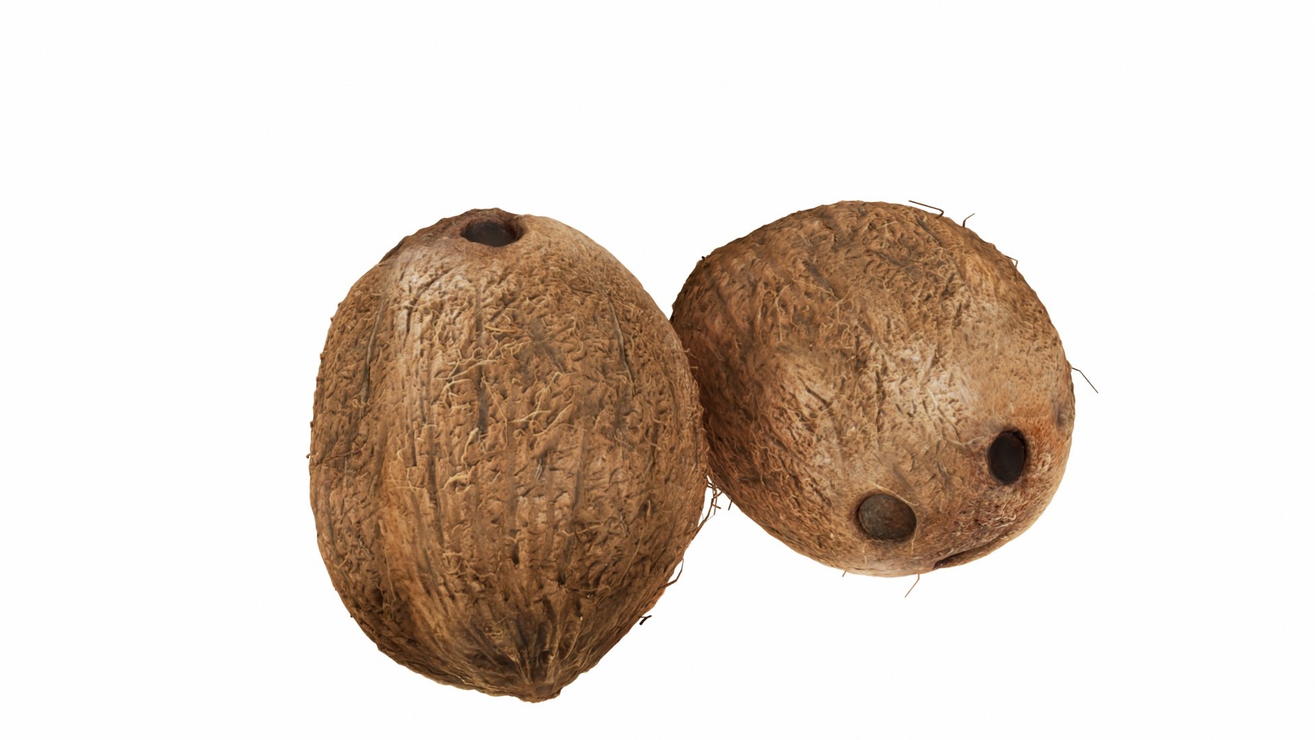 Tropical Fruits model https://p.turbosquid.com/ts-thumb/C3/n7SQZO/Y1/0coconut5/jpg/1770242398/1920x1080/fit_q87/6b92b654200ab71b82b9c7f80caad906eea2fd3a/0coconut5.jpg