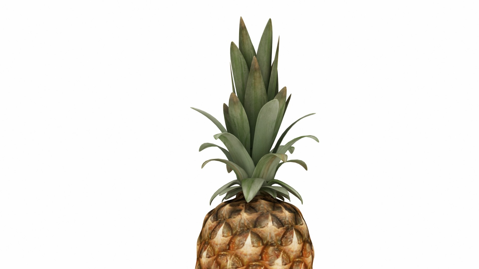 Tropical Fruits model https://p.turbosquid.com/ts-thumb/C3/n7SQZO/jw/0pineapple2/jpg/1770242406/1920x1080/fit_q87/8c023369e407ea75ca35b3530cc1c9e1b086753e/0pineapple2.jpg