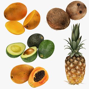 Tropical Fruits model