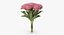 Pink Floral Set 01 - 32 Produkte