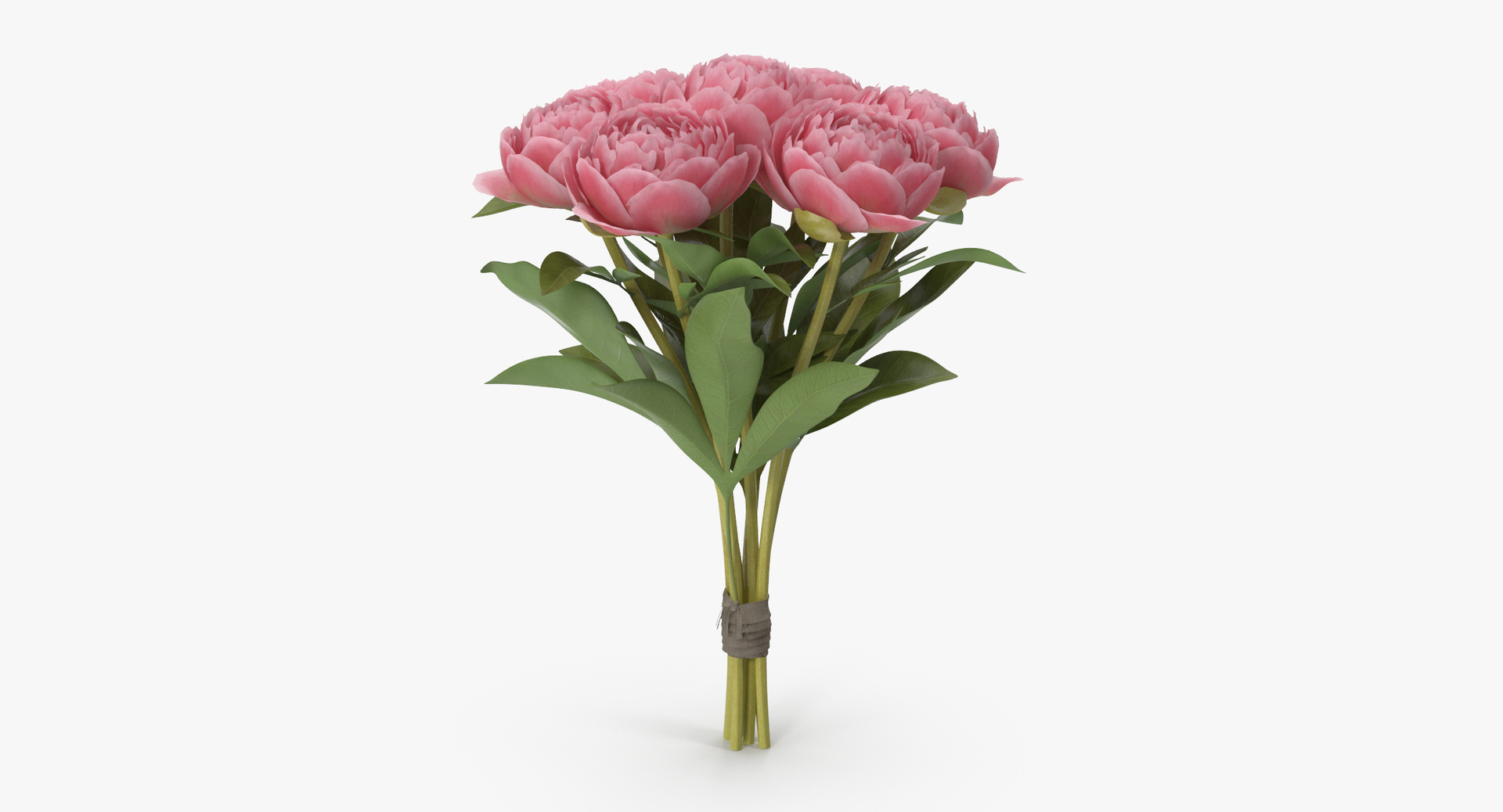 pink floral set 01 3D https://p.turbosquid.com/ts-thumb/C3/r3GmYp/2XNkbAYv/0000/jpg/1564580773/1920x1080/turn_fit_q99/b9794c764f955819ee4d849f4cb658c103386909/0000-1.jpg