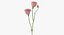 Pink Floral Set 01 - 32 Produkte