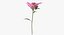Pink Floral Set 01 - 32 Produkte