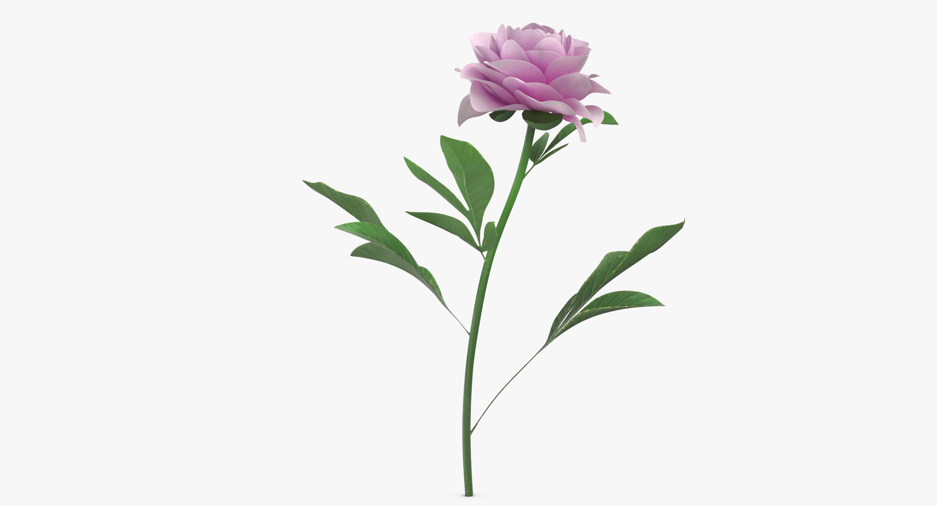 pink floral set 01 3D https://p.turbosquid.com/ts-thumb/C3/r3GmYp/erpX09v7/0000/jpg/1564580936/1920x1080/turn_fit_q99/57b975248541c7e8bd308d79486d613398672d87/0000-1.jpg