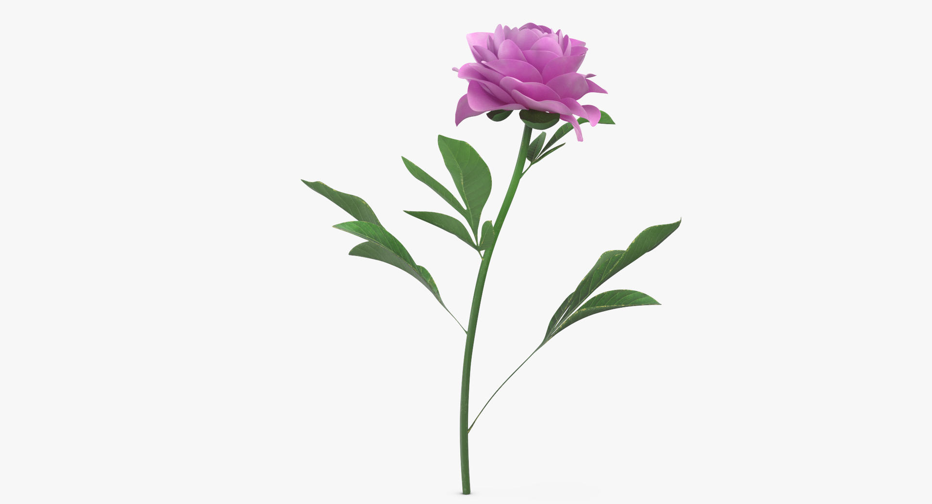 pink floral set 01 3D https://p.turbosquid.com/ts-thumb/C3/r3GmYp/kUTraGo1/0000/jpg/1564580876/1920x1080/turn_fit_q99/b51e975fb15cb461368998f5d6794f9516108606/0000-1.jpg