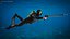 Diver with Underwater Speargun Rigged