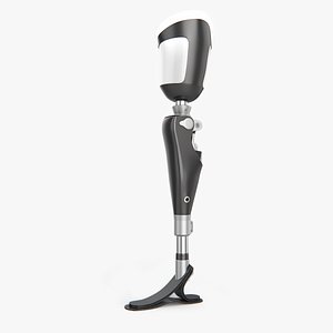 Prosthetic Leg