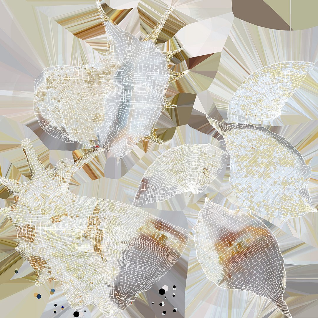 Sea Shell Spider Conch Lambis model https://p.turbosquid.com/ts-thumb/C4/0ymFgt/76/seashellspiderconchlambis3dsmodel020/jpg/1666181386/1920x1080/fit_q87/a055548e4aefc5afd1e89263312db76cb7b2282e/seashellspiderconchlambis3dsmodel020.jpg